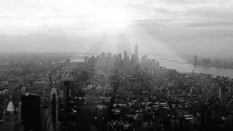 Boxing - professional stock photography