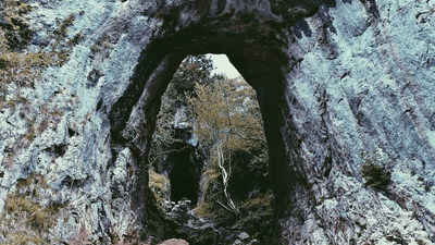 Cardio - professional stock photography