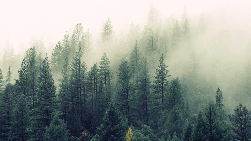 Cardio - professional stock photography