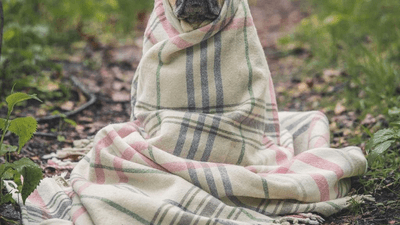 Cooldown - professional stock photography