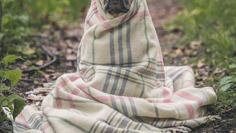 Cooldown - professional stock photography