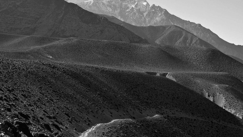 Cycling - professional stock photography