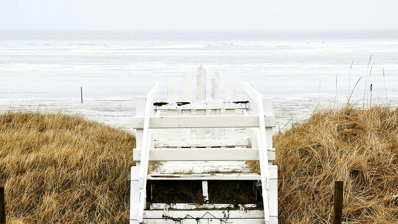 Deadlift - professional stock photography