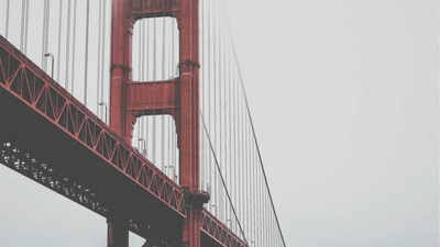 Deadlift - professional stock photography