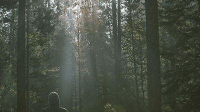 Kettlebell - professional stock photography