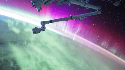 Kettlebell - professional stock photography