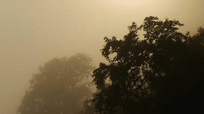 Plank - professional stock photography