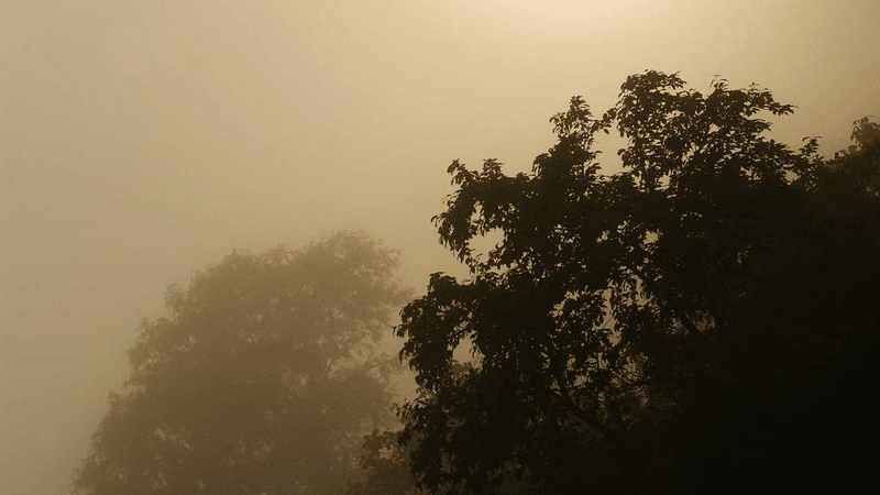 Plank - professional stock photography