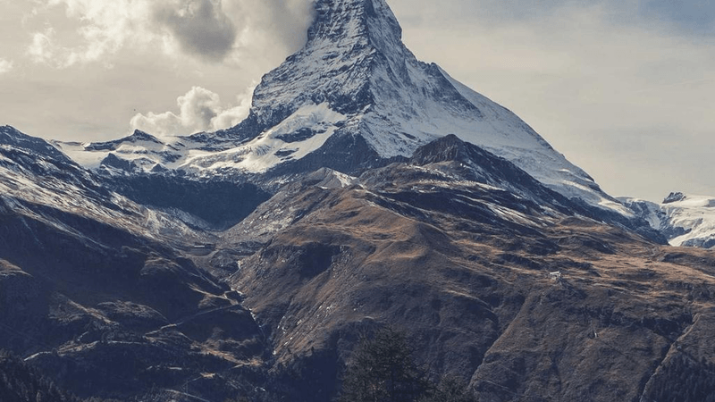 Plank - professional stock photography