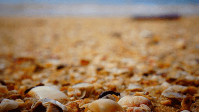 Plank - professional stock photography