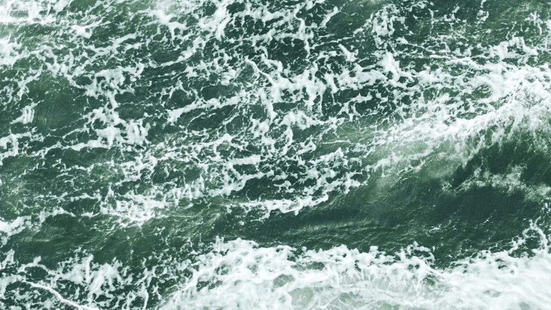 Plank - professional stock photography