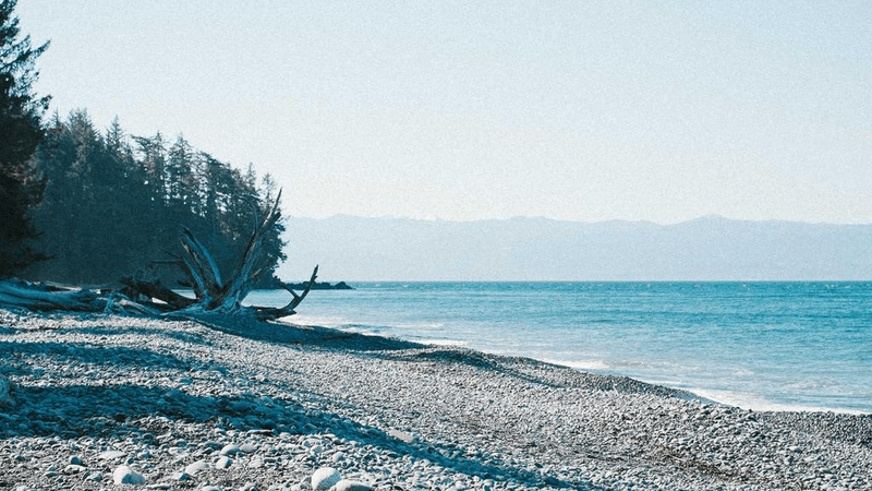 Pushup - professional stock photography