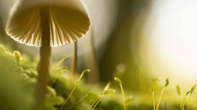 Running - professional stock photography