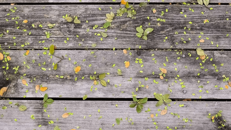 Running - professional stock photography