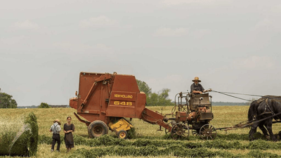 Running - professional stock photography