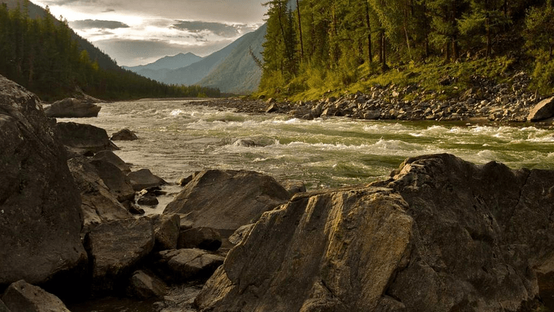 Squat - professional stock photography