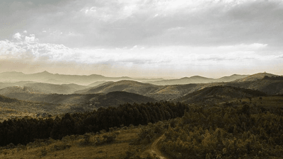 Stretching - professional stock photography