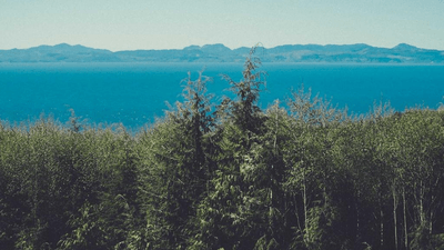 Stretching - professional stock photography