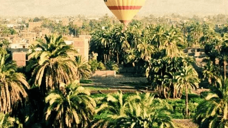Swimming - professional stock photography
