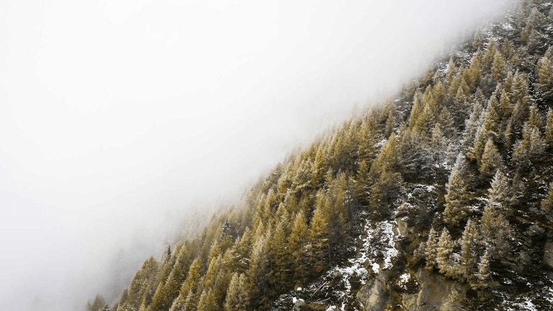 Treadmill - professional stock photography