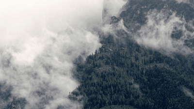Treadmill - professional stock photography