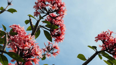 Treadmill - professional stock photography