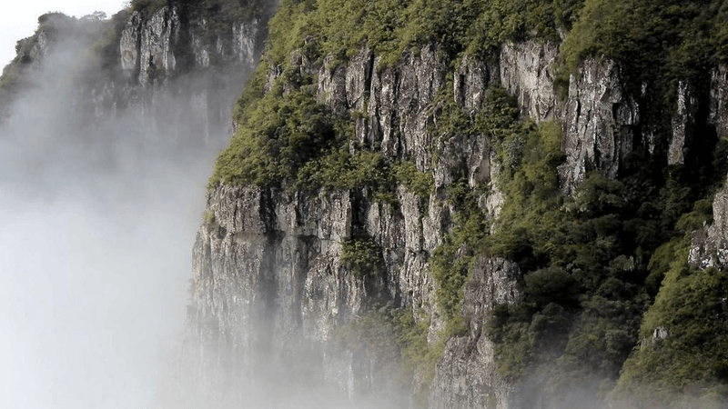 Treadmill - professional stock photography