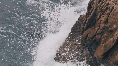 Treadmill - professional stock photography