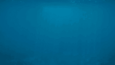 Warmup - professional stock photography