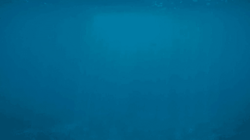 Warmup - professional stock photography