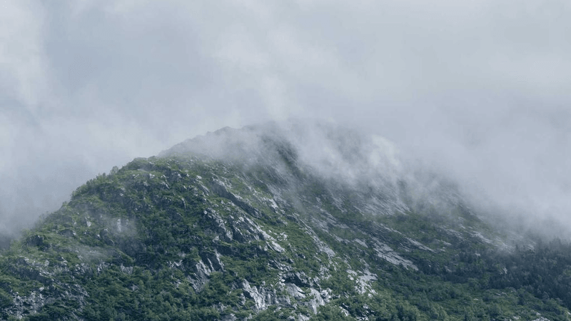 Yoga - professional stock photography