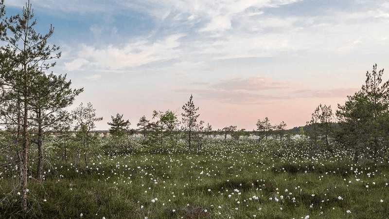 Yoga - professional stock photography