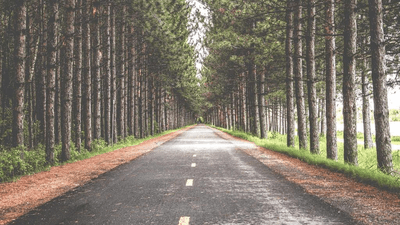 Yoga - professional stock photography