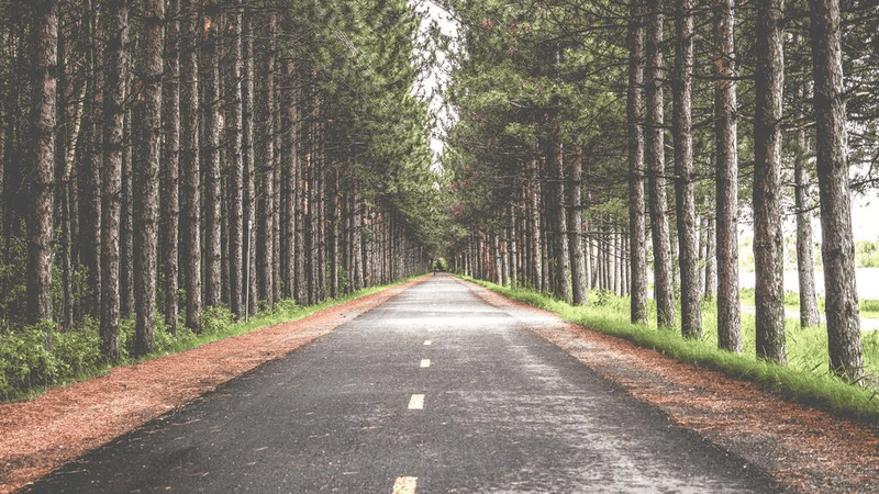 Yoga - professional stock photography